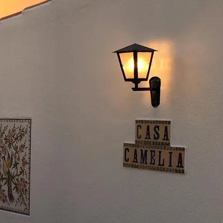 Casa Camelia * فيلامورا
