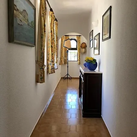Casa Camelia
