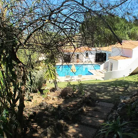 Villa Casa Camelia